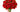 Red Roses & Flowers