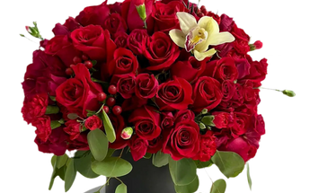 Luxury Flower Box - Cajas de Flores Premium Miami