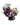 Flores para Grados
