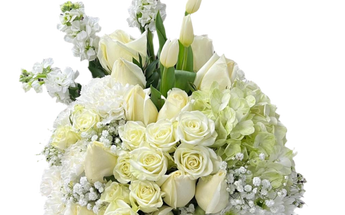 Arreglos Funerarios Miami - Flores Condolencias Doral | Entrega Hoy