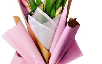 Tulipanes a domicilio en Miami Doral