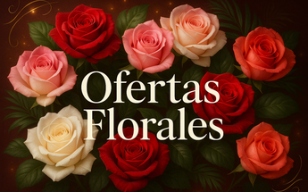 OFERTAS - Promociones Descuentos Flores Miami
