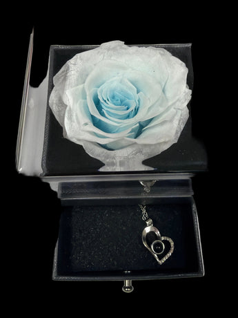Rosa preservada Rosa Miami de Doral Roses Miami, flor artificial elegante y de lujo para regalos y decoración.