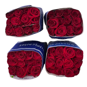 Elegante arreglo de 100 rosas rojas y blancas de Doral Roses Miami, ideal para aniversarios, celebraciones románticas y regalos especiales. Disponible para entrega de flores a domicilio en Miami y Doral.
