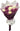 Comprar Rosas Express Miami - Bouquet Domingo Entrega Rápida Doral Florida