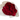 Rosas rojas frescas de 12 a 200 unidades en Miami. Bouquets atados a mano con empaque hermoso. Entrega el mismo día en Doral roses miami