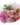 Bouquet divertido de 20 flores mixtas coloridas en Miami. Perfecto para celebraciones alegres con entrega el mismo día. Disponible en Doral.