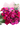 Bouquet divertido de 20 flores mixtas coloridas en Miami. Perfecto para celebraciones alegres con entrega el mismo día. Disponible en Doral.