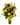 ¿Dónde puedo comprar arreglos con girasoles para entrega hoy mismo? Por supuesto en Dora Roses Miami