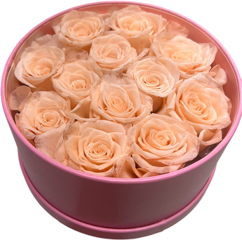 Rosas eternas en arreglo floral de Doral Roses Miami, flores preservadas y elegantes en un hermoso diseño.