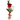 Rosa roja en jarrón de vidrio, arreglo floral romántico de Doral Roses Miami para regalo con entrega inmediata en Miami.