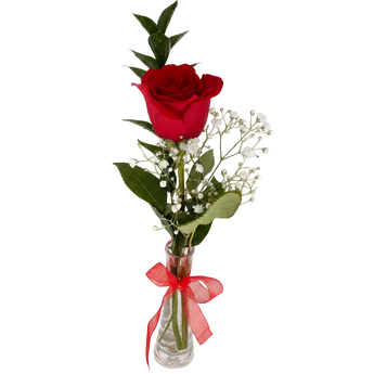 Rosa roja en jarrón de vidrio, arreglo floral romántico de Doral Roses Miami para regalo con entrega inmediata en Miami.
