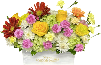 Ramillete de girasoles rosas y flores rojas en celebración de felicidad, en Doral Florida, por Doral Roses Miami
