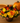 Flores frescas de otoño en centro de mesa decorativo para celebración de Acción de Gracias Miami