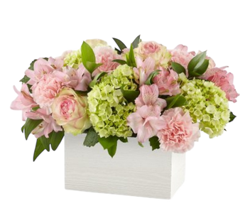 Caja de flores rosas rosadas de Doral Roses Miami con flores bonitas y dulces para cumpleaños y primavera, entrega en el mismo día