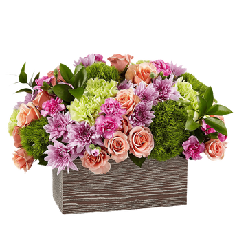 Rosas Encantadoras Florería en Doral - Rosas Rojas Doral Florida Entrega de Flores Hoy Miami - Florist in Doral, FL | Same-Day Flower Delivery in Miami – Doral Roses Miami