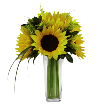 Flores de girasol de Doral Roses Miami, ramo de girasoles amarillos y brillantes en un arreglo floral natural.