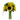 Ramo de flores con girasoles frescos, Bouquet Brillo de Ensueño de Doral Roses Miami, flores naturales en la imagen.