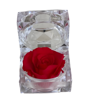 Mini rosa en cúpula de vidrio de Doral Roses Miami, elegantemente presentada en un cofre con flores frescas.