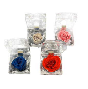 Mini preserved rose in a clear box, showcasing elegant floral design by Doral Roses Miami.