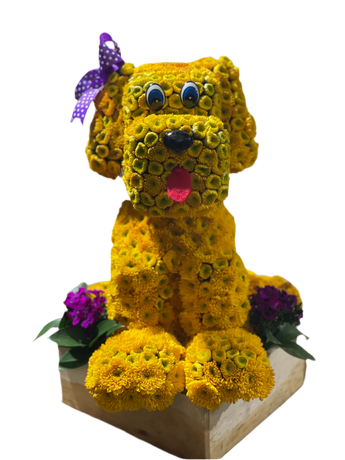 Que fortuna Conocerte - Florist in Doral, FL | Same-Day Flower Delivery in Miami – Doral Roses Miami