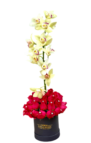Rosas y orquídeas en un arreglo floral de Doral Roses Miami, muestra flores coloridas y elegantes en un diseño floral.