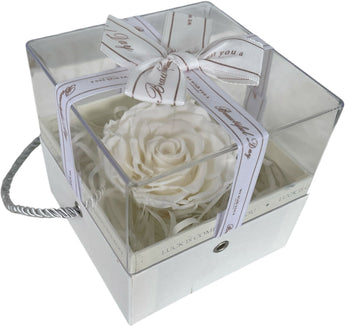 Rosas preservadas en caja circular de Doral Roses Miami, flores especiales y modernas en elegante presentación.