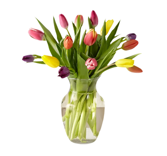 Jarrón con 10 tulipanes delicados de Doral Roses Miami, flores frescas y elegantes en un envase transparente.