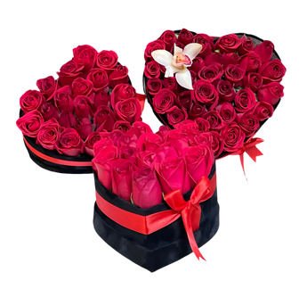 Corazón con 12 rosas naturales en caja, floristería Doral Roses Miami, detalle de rosas frescas en caja decorativa.