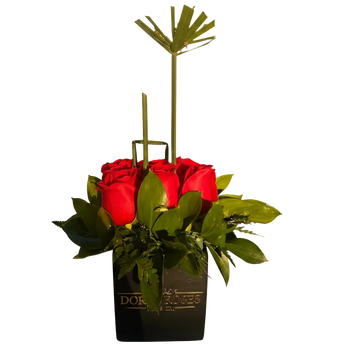doral-roses-miami-florist