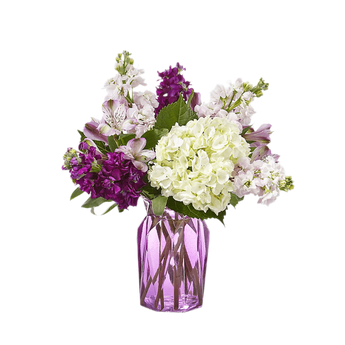 Arreglo fresco de alhelíes violetas y blancas de Doral Roses Miami, con flores delicadas y coloridas en un hermoso bouquet.