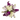 Arreglo fresco de alhelíes violetas y blancas de Doral Roses Miami, con flores variadas en tonos suaves, para entrega en Doral y Miami.
