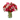 Mujer Hermosa Florería en Doral - Rosas Rojas Doral Florida Entrega de Flores Hoy Miami - Florist in Doral, FL | Same-Day Flower Delivery in Miami – Doral Roses Miami