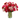 Mujer Hermosa Florería en Doral - Rosas Rojas Doral Florida Entrega de Flores Hoy Miami - Florist in Doral, FL | Same-Day Flower Delivery in Miami – Doral Roses Miami