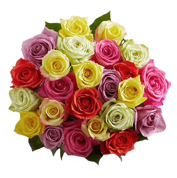 Ramo de flores con rosas variadas premium de Doral Roses Miami, dos docenas perfectas para el Día de la Madre.