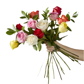 Ramo de 12 rosas mixtas de Doral Roses Miami, flores coloridas sin florero, para ocasiones especiales.