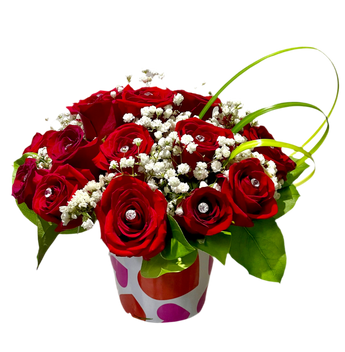 Rosas responsables de Doral Roses Miami en colores variados, flores frescas y naturales en un arreglo elegante.