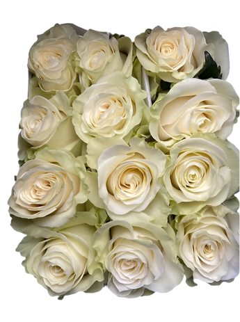 Ramo de flores fucsias y amigables con flores frescas de Florist en Doral, Miami, para entrega el mismo día.