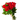 Ramo de flores Wonderful de Doral Roses Miami, flores frescas y coloridas sin jarrón en fondo neutro.