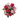 Rosas de colores variados de Doral Roses Miami, flores hermosas para enamorados, entrega en Doral, Florida, el mismo día