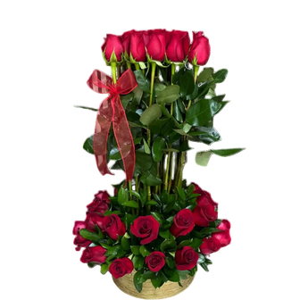 Rosas rojas premium Doral Roses Miami, 50 flores frescas para regalo, con entrega el mismo día en Doral, Florida.