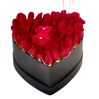Comprar Rosas en Caja Doral Florida - Expressive Entrega Mismo Día - Florist in Doral, FL | Same-Day Flower Delivery in Miami – Doral Roses Miami