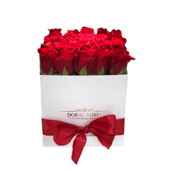 Comprar Caja Rosas Rojas Pasión Doral Florida - Passion Roses Box Entrega Mismo Día - Florist in Doral, FL | Same-Day Flower Delivery in Miami – Doral Roses Miami