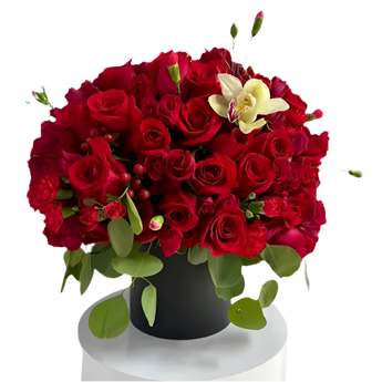 Arreglo de 100 rosas rojas premium en caja negra mate, parte de la Gold Collection. Disponible en Doral y Miami con entrega exclusiva y prioritaria.
