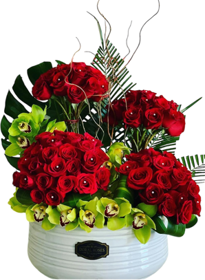 Continuum Signature – Rouge Edition