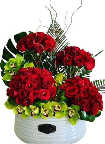 Continuum Signature – Rouge Edition