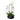 Orquídea en planta phalaenopsis blanca en maceta cuadrada efecto mármol blanco