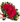 Buchón Romance Luxury de 250 rosas en Miami. Máxima expresión de amor para propuestas épicas. Entrega VIP especializada en Doral.