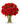 Red Roses & Flowers