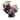 Flores para Grados